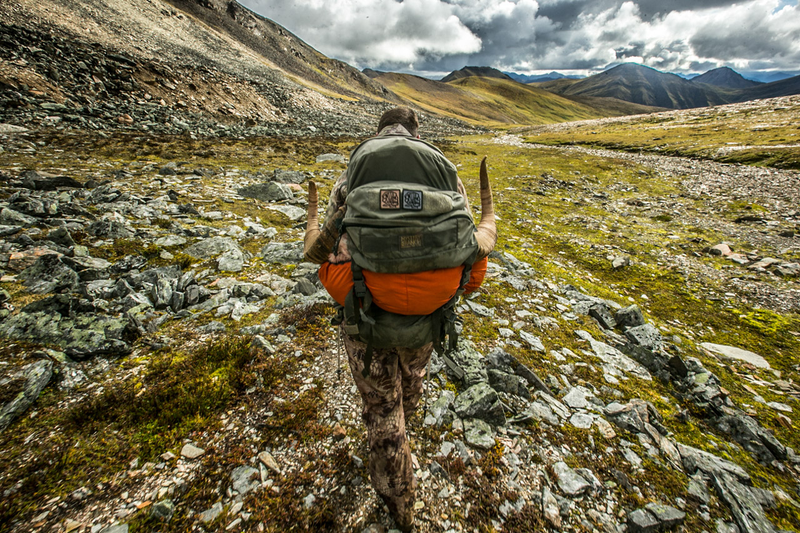 Illustration for article titled Hunting Alaska's Most Elusive Big Game